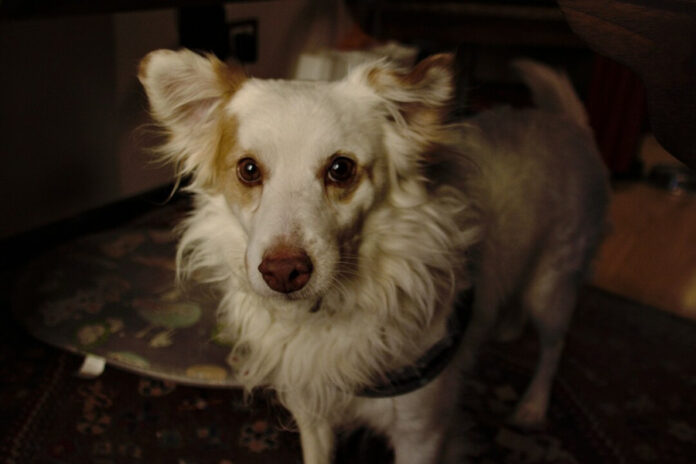 e979e09567083a00ad0411d43afbeb8e L.jpg