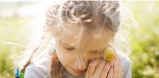 epidoma paidioy 1.jpg