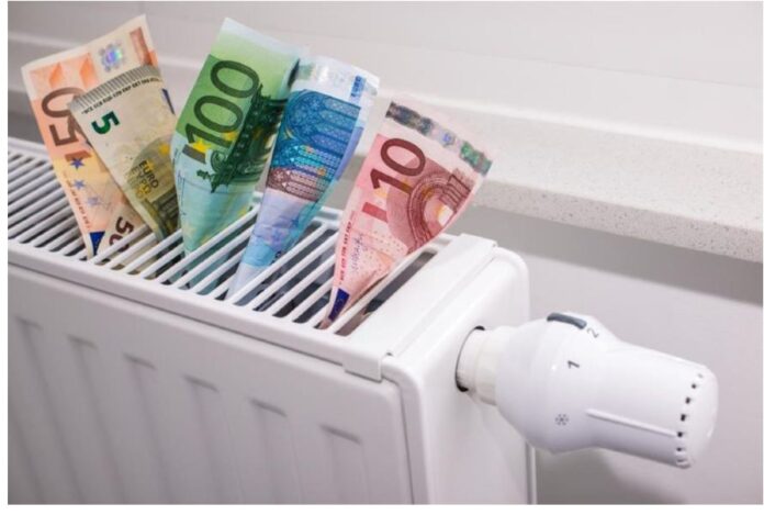 epidoma thermansis 1.jpg