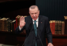 erntogan 1200x630.jpg