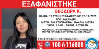 exafanisi 28112025 1200x630.jpg