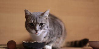 f213f931c7ef55b9e7ab90089fb2b44c L.jpg