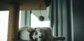 f5fbc5942f51279c677585e33381fa3c L.jpg