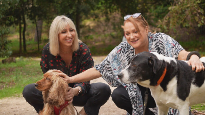 fdaef2b5d527aa4ccae70c1724484b8f L.jpg