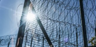 filakes 1200x630.jpg