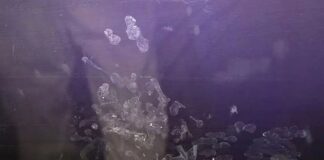 fingers 1200x630.jpg