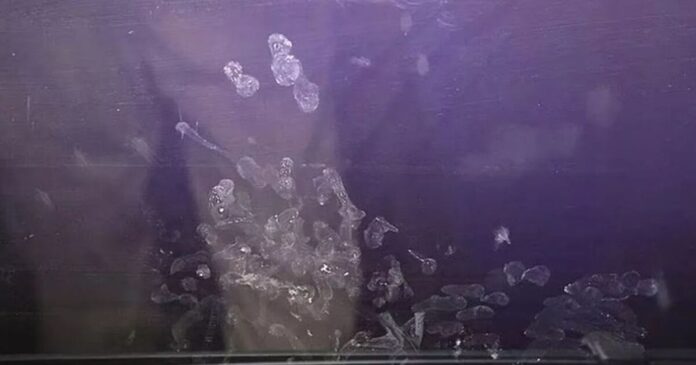 fingers 1200x630.jpg