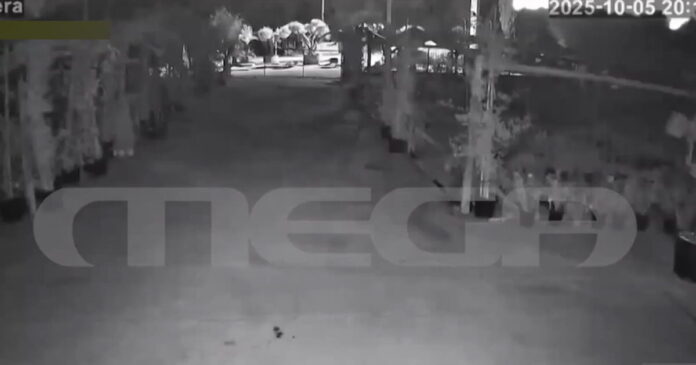 foinikounta 1 1200x630.jpg