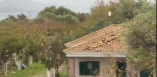 foinikounta kakokairia 1 1200x630.jpg