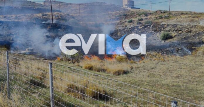 fotia ecia 1200x630.jpg fotia ecia 1200x630.jpg