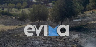 fotia evoia1 1200x630.jpg
