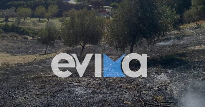 fotia evoia1 1200x630.jpg