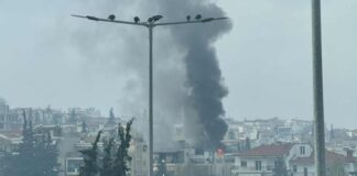 fotia pulaia 1 1200x630.jpg