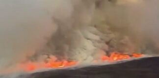 fwtia nea zhlandia 1200x630.jpg