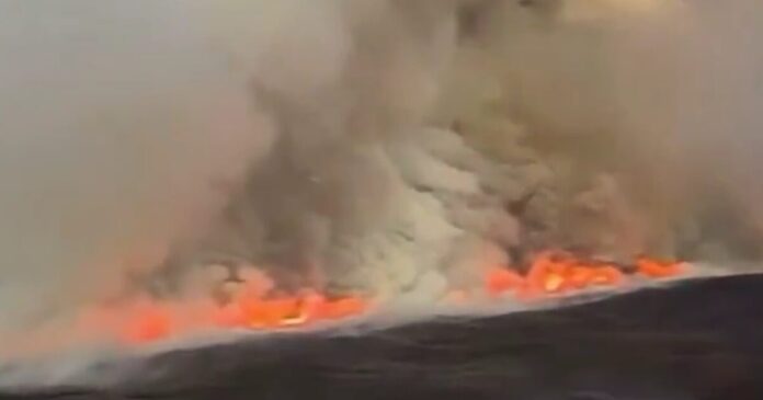 fwtia nea zhlandia 1200x630.jpg