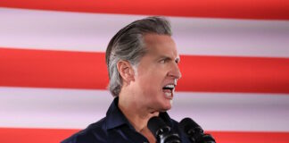 gavin newsom 11112025 1200x630.jpg