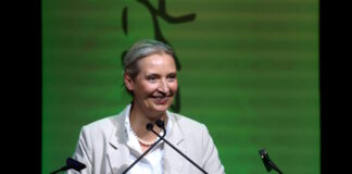 germany afd reuters 1200x630.jpg