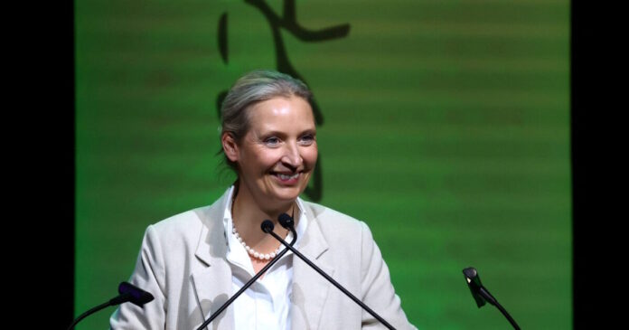 germany afd reuters 1200x630.jpg