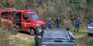 giannena diasosi 17112025 1200x630.jpg