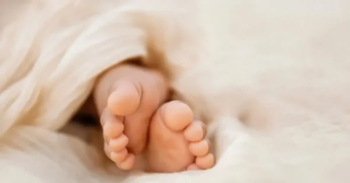 istock moro 1200x675 1 1200x630.webp.webp