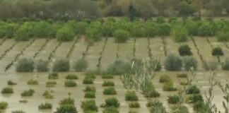 kakokairia thesprotia 1200x630.jpg