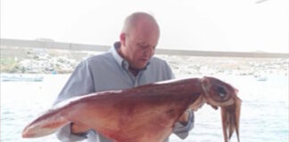 kalamaria mykonos 1200x630.jpg