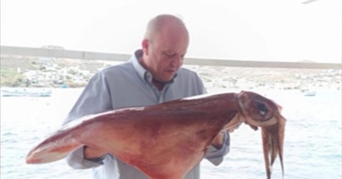 kalamaria mykonos 1200x630.jpg