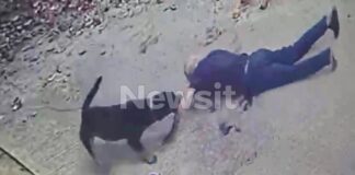 kalamata 1 1200x630.jpg