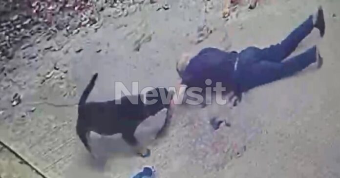 kalamata 1 1200x630.jpg