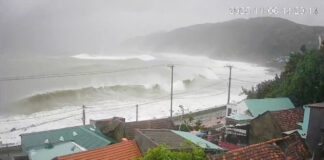 kalmaegi reuters 3 1200x630.jpg