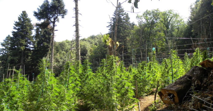 kannavi 1200x630.jpg