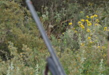 Κρήτη: Πυροβόλησαν από το παράθυρο 60χρονο την ώρα που κοιμόταν στη Μεσαρά karampina eurok 1200x630.jpg