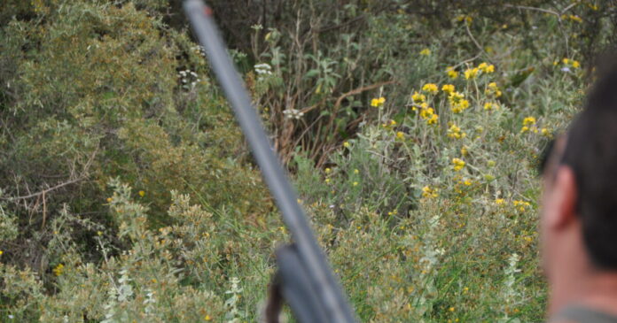 karampina eurok 1200x630.jpg