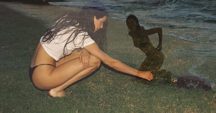 kendall 1200x630.jpg