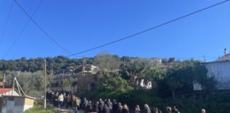 kideia tr 1200x630.jpg