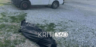 kriti 360 1200x630.jpg