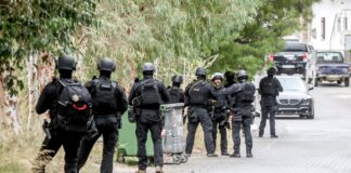 kriti vedeta 1200x630.jpg