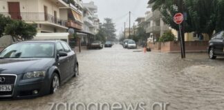 kriti vroxi 1 1200x630.jpg