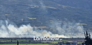 lamia fotia 1200x630.jpg