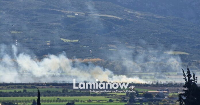 lamia fotia 1200x630.jpg