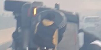 lamia troxaio 2 1200x630.jpg