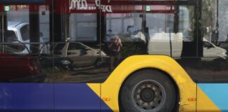 leoforeio 1200x630.jpg