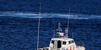 limeniko 1 1200x675 1 1200x630.jpg