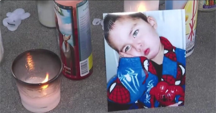 lynewood youtube 1 1200x630.jpg