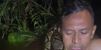 man python 1200x630.jpg