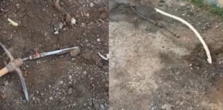 mandra 1 1200x630.jpg