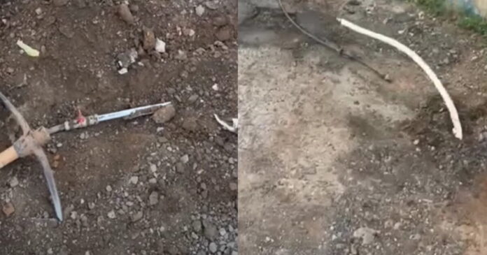 mandra 1 1200x630.jpg