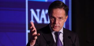 mark rutte 1200x630.jpg