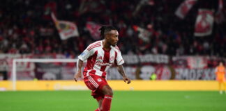 martins 1 1200x630.jpg