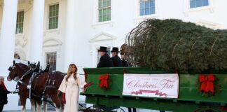 melania 2 1200x630.jpg